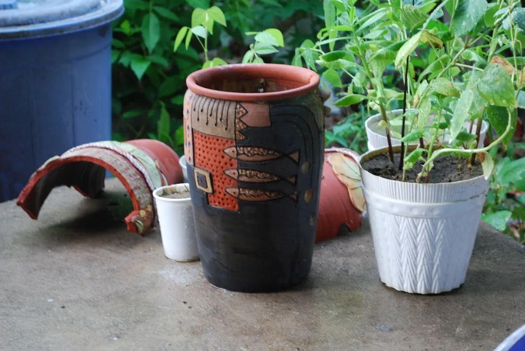 Jak sadzić begonie w doniczce: Poradnik krok po kroku