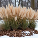 Jak zabezpieczyć trawę pampasową na zimę? Praktyczne porady
