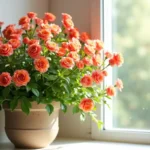 Sztuczne Kwiaty Zwisające Jak Żywe – Zalety i Aranżacje